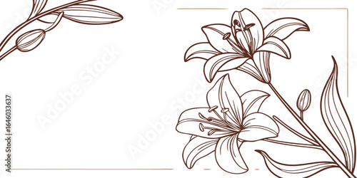minimalist lily botanical line drawings with flowing stems for modern wedding and branding design isolated on white background.