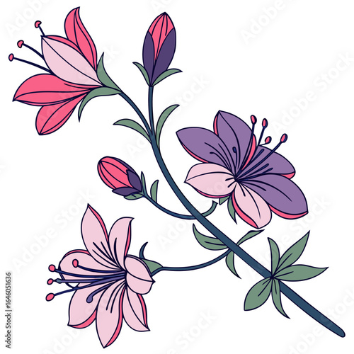 floral background with anagallis minima