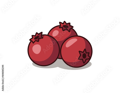 Vibrant cranberries cluster healthy fresh fruit vector clipart, isolated on white background.