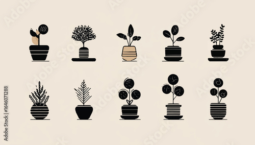 Collection of stylized potted plants representing diverse plant species for interior decoration and minimalist design illustration various shapes and sizes ideal for graphic design elements