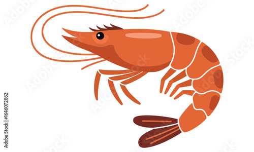 lobster on a white background