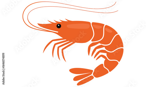 crayfish on a white background