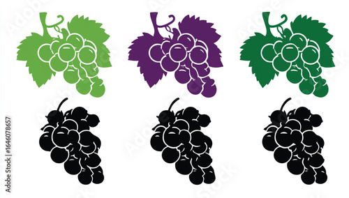 Colorful Grape Bunch Variations Set for Wine Design and Healthy Food Illustrations featuring Green Purple and Black Grapes on White Background