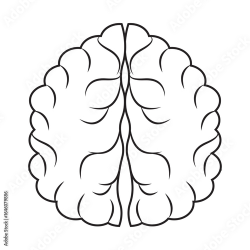 Human brain icon with editable stroke, Simple brain diagram illustration