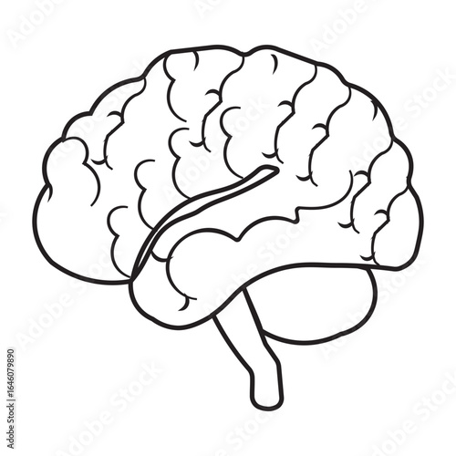 Human brain icon with editable stroke, Simple brain diagram illustration