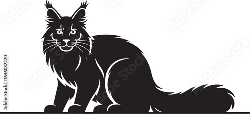 maine coon