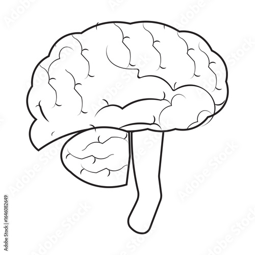 Human brain icon with editable stroke, Simple brain diagram illustration