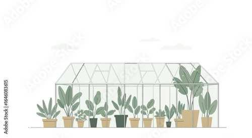Charming greenhouse illustration showcases lush potted plants against a bright backdrop