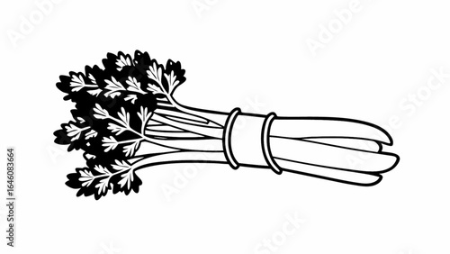 Black and white parsley bunch tied with ribbon on a plain background