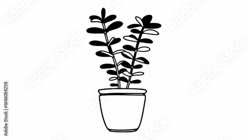 Minimalist jade plant in pot on white, simple line drawing, botanical illustration