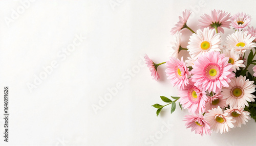 Bouquet of Pink and White Gerbera Daisies Against a Minimalist White Background with Copy Space