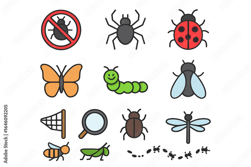 Fototapeta premium Insect collection: bug, spider, ladybug, butterfly, caterpillar, fly, grasshopper