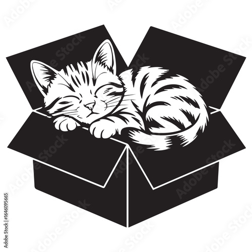Sleeping Kitten in Box