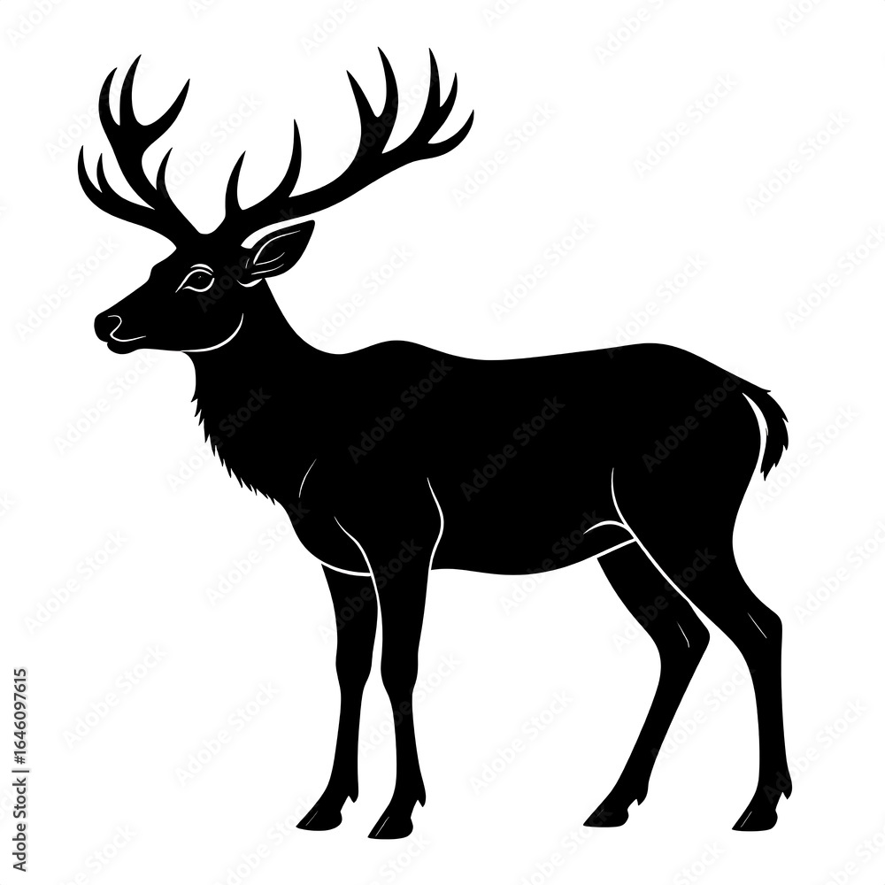 Fototapeta premium Silhouette of a stag