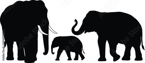 Elephant family silhouette with adult and baby elephants, black vector illustration, wildlife nature art, majestic animal design