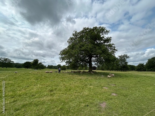 Shugborough Estate Park