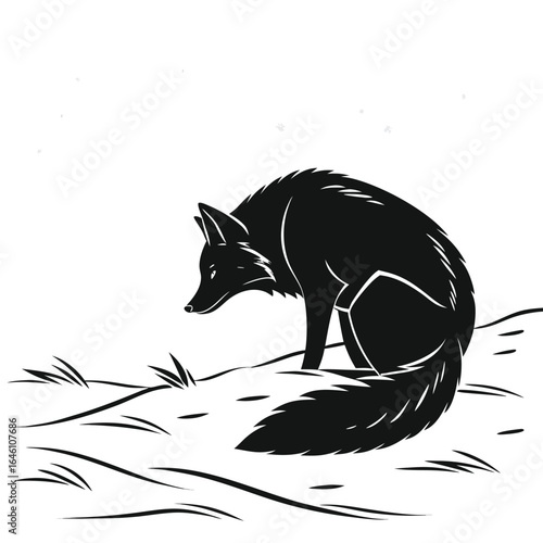 Fox curled in snow silhouette