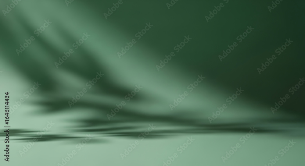 Obraz premium Soft Green Background with Blurred Shadows image photo