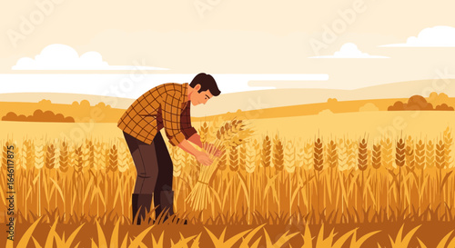 Harvest time farmer working in golden wheat field illustrating agriculture practices and rural lifestyle with grain sheaves