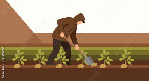 Farmer Planting Potatoes In Rows At The Farm With Brown Soil And Green Sprouts