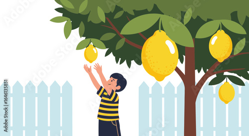 Illustration of a boy reaching for lemons on a tree in a backyard garden setting