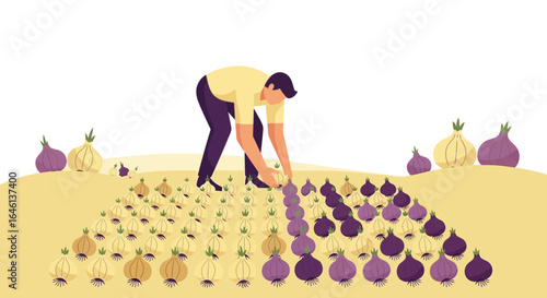 Illustration of a farmer harvesting onions in a field with variations in color schemes suitable for backgrounds