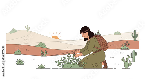 Illustration of a woman harvesting plants in a desert landscape at sunset, serene moment in nature
