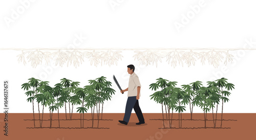 Illustration of a farmer with a machete walking through a cassava field ready for harvest representing agriculture and rural lifestyle