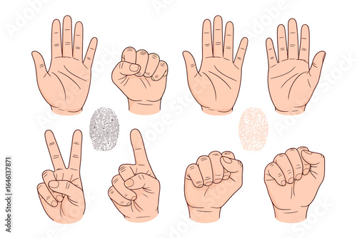 Diverse hand gestures and unique fingerprints representing individuality identification and communication in a clean and minimalist style