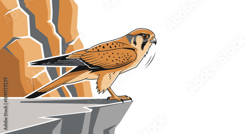 Illustration of a kestrel perched on a rocky cliff edge ready to fly away
