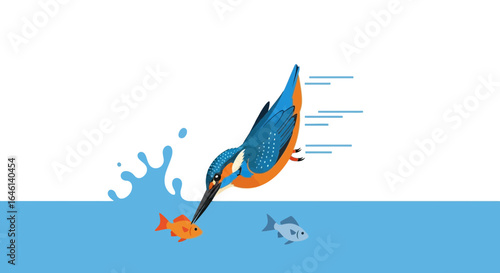 Kingfisher hunting goldfish in bright blue water illustration for creative designs