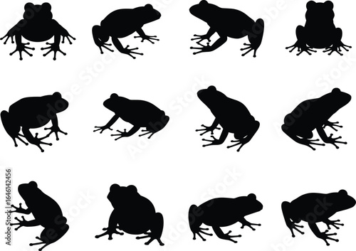 Frog silhouette vector set, amphibian poses illustration, leaping crouching sitting frogs, CAD drawing flat vector illustration