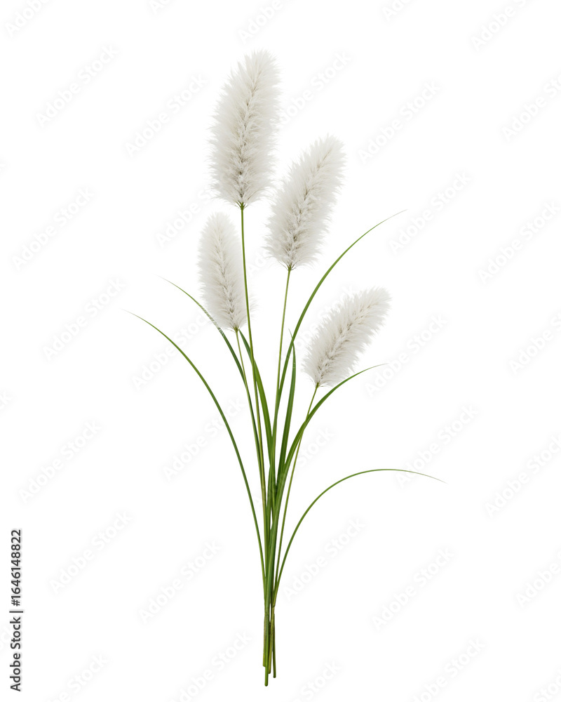 Fototapeta premium Artificial white pampas grass stem for decoration 