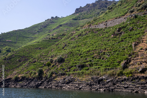 Boat tour through the Sil Canyon in Ribeira Sacra, Galicia, Spain, departing from Embarcadoiro da Ponte do Sil, Monforte de Lemos. Scenic river and vineyards.