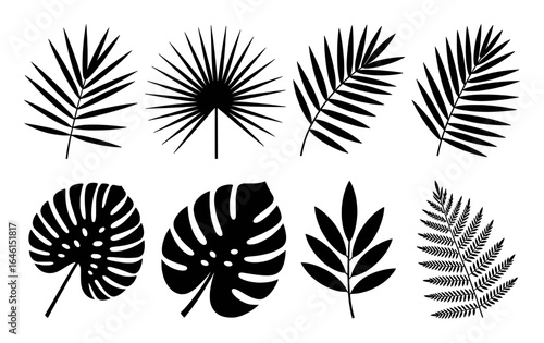 Tropical foliage leaves botanical illustration set vector