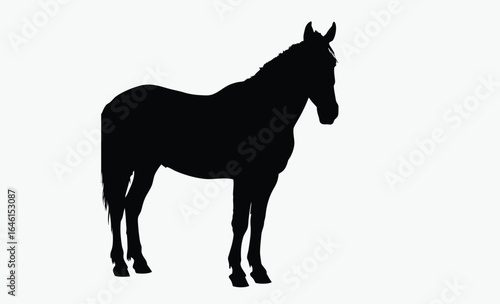 Horse silhouette, equestrian animal vector, domestic livestock icon, black farm creature illustration, Halter Quarter Horse silhouette 
