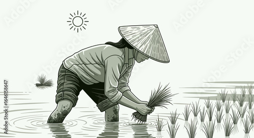 Monochrome illustration of a woman planting rice seedlings in a flooded field under the sun