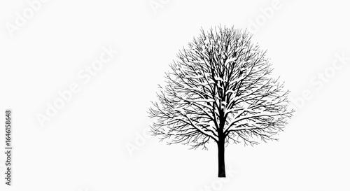 Monochrome Tree Silhouette Against White Backdrop for Winter or Artistic Use