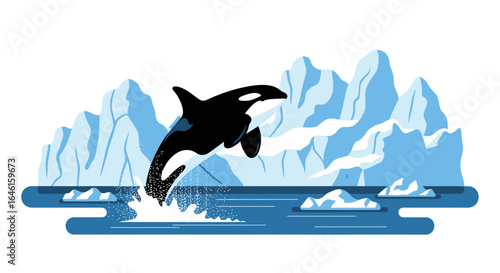 Orca Breaching in Arctic Waters Striking Graphic Illustration Wildlife