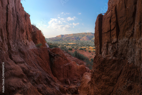 Mesquite Backlit Cliffs at Palo Duro Canyon