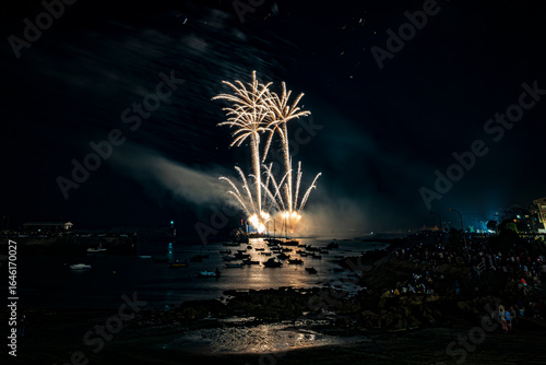 fireworks over the sea