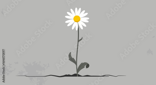 Resilience concept illustration with a daisy growing through a crack in the ground representing hope and overcoming challenges