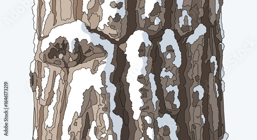 Snowy Tree Bark Texture Showing Detailed Pattern And Winter Nature Illustration