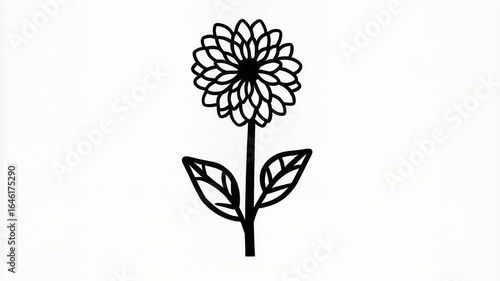Artistic Flower Silhouette Animation with Decorative Leaves on White Background