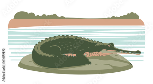 Stylized vector illustration of a Gharial basking on a rock with river backdrop minimal design