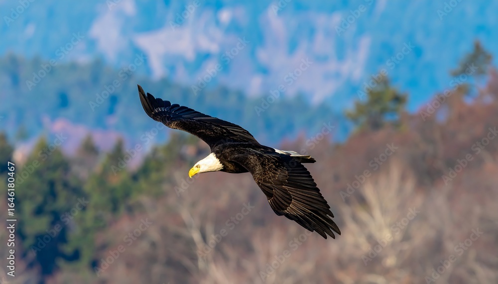 Obraz premium Majestic eagle soaring above forest