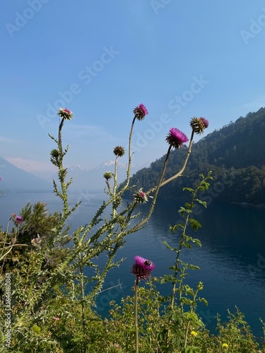 beautiful scenic views, landscapes, mountains and lakes in Bariloche, Rio Negro, Patagonia Argentina
