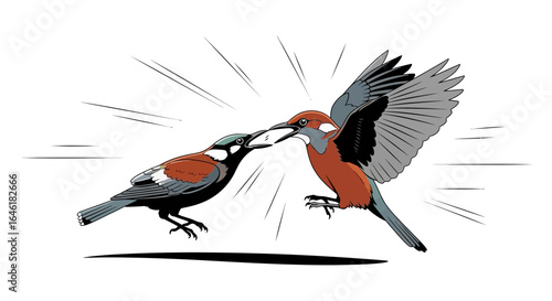 Two colorful birds fighting over a fish in a dynamic cartoon illustration style