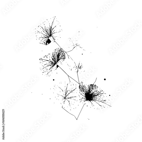 Dandelion seed head black and white art botanical illustration floral drawing nature plant abstract artwork vector design