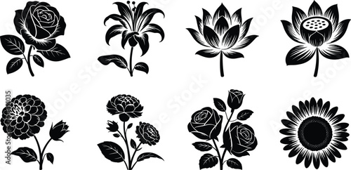 Vector black floral silhouettes collection, rose, lily, lotus, sunflower, peony, elegant flower icons, nature design, botanical illustration, garden plants